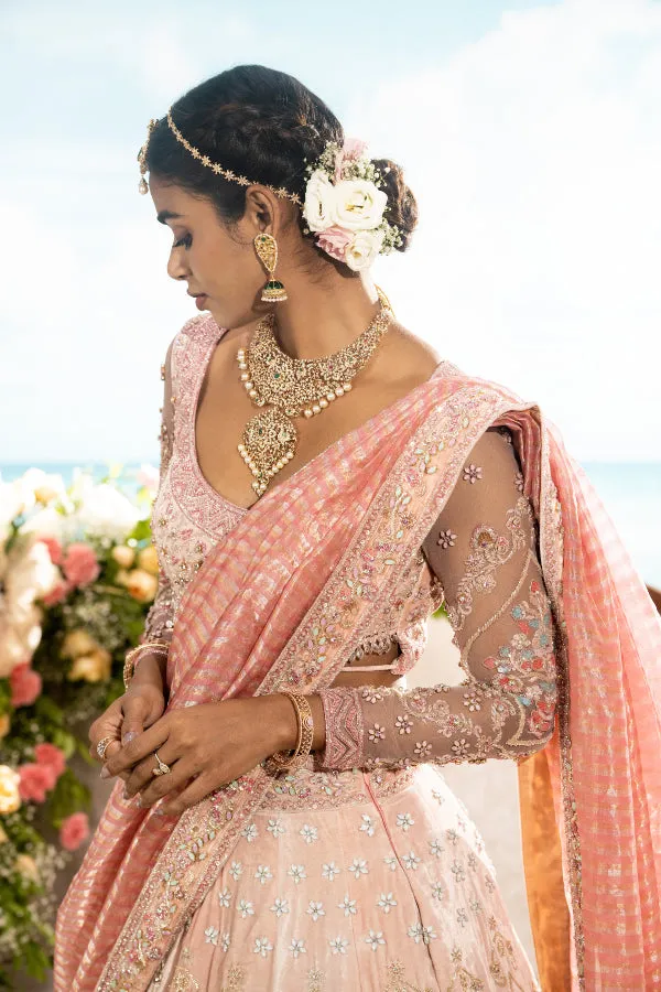 BRIDAL VELVET LEHENGA