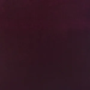 Molly Sangria Velvet Leotard Kids RTW